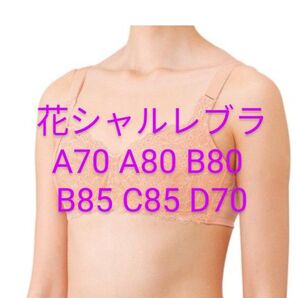 花シャルレブラジャー FA241