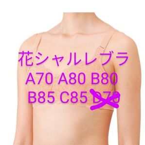 花シャルレブラジャー FA241