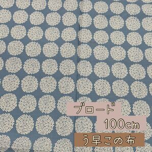 生地 国産生地 《う早この布》ブロード 110×100cm