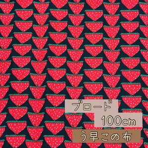 生地 国産生地 ブロード 110×100cm 『在庫処分』1枚限り