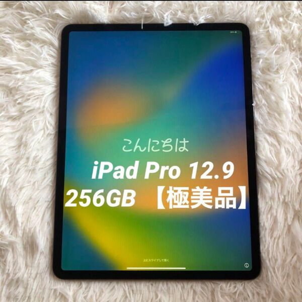 【5/26値上げ】iPad Pro 12.9 256GB 【当日発送】 iPad Pro スペースグレイ Wi-Fiモデル