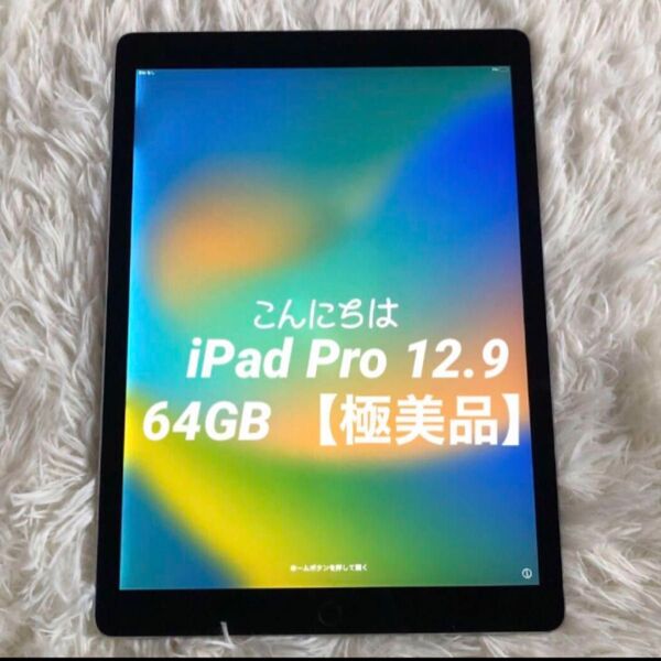 【極美品】iPad Pro 12.9 64GB 第2世代 SIMフリー iPad ipad apple タブレット アイパッド