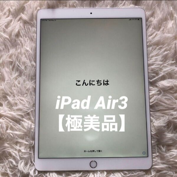 【付属品あり】iPad Air3 64GB 【すぐ発送】 iPad Apple Wi-Fi Cellular シルバー iOS