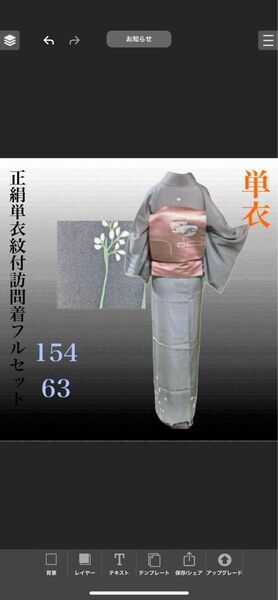 正絹単衣紋付訪問着フルセット4点 正絹着物+正絹名古屋帯+正絹帯締め+正絹帯揚げ