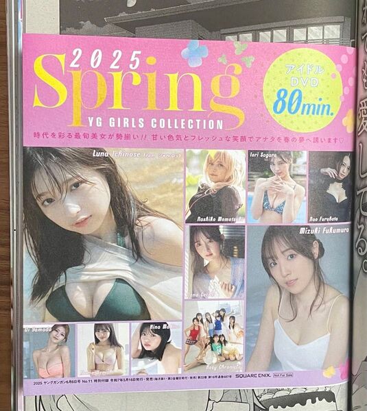 ヤングガンガン 一ノ瀬瑠菜 DVD