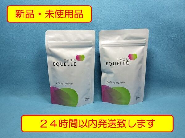 【新品・未開封】大塚製薬 エクエル パウチ 120粒×2袋