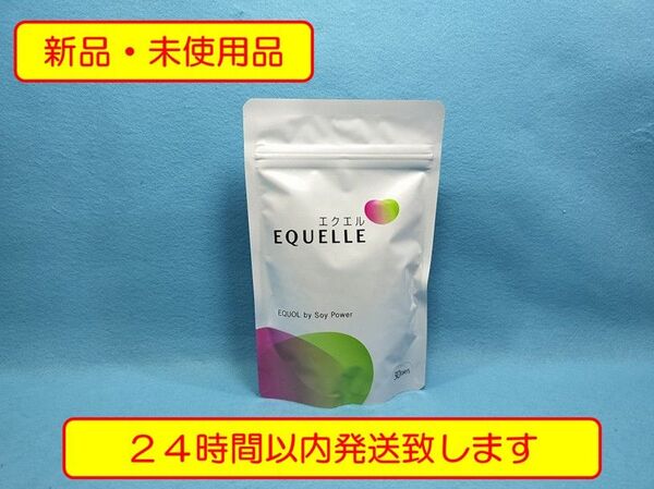 【新品・未開封】大塚製薬 エクエル パウチ 120粒×1袋