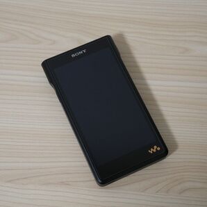 WALKMAN WM1シリーズ メモリータイプ NW-WM1AM2 ブラック