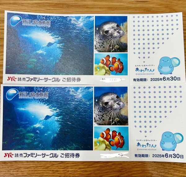 新江ノ島水族館 2枚 招待券