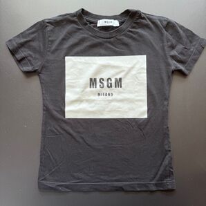 MSGM トップス 半袖 Tシャツ 4T 3-4歳