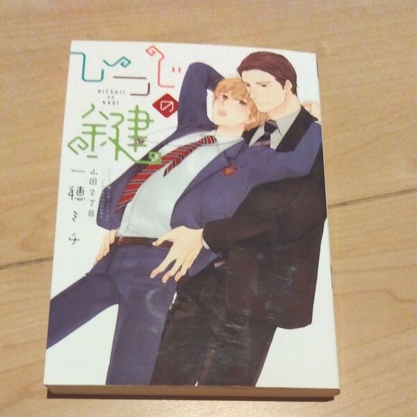 【初版】ひつじの鍵 (新書館ディアプラス文庫 408) 一穂ミチ/著