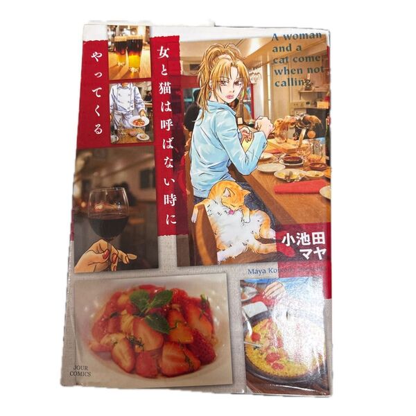 女と猫は呼ばない時にやってくる (ジュールコミックス) 小池田 マヤ 著