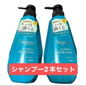 花王 セグレタ(旧パッケージ)シャンプー うねる髪もまとまる ポンプ 430ml×2本