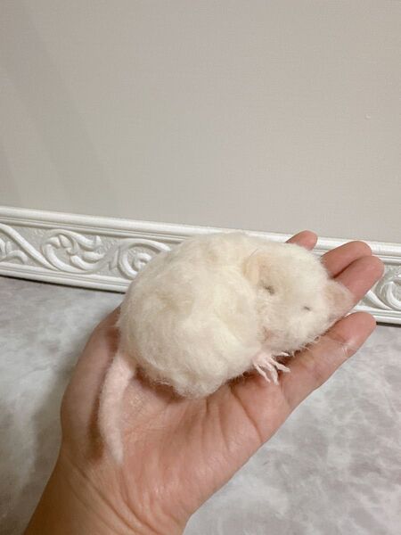 ☆白いラットの赤ちゃんぬいぐるみ☆ 羊毛フェルト 作家一点物 ハンドメイド 置物 ファンシーラット アートドール ホワイト