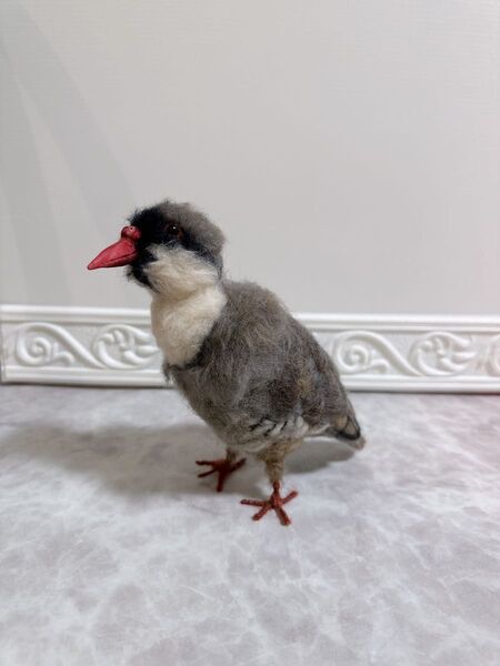 ☆人懐っこいイワシャコぬいぐるみ☆ 羊毛フェルト 作家一点物 ハンドメイド 置物