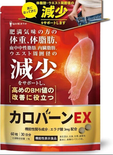 カロバーンEX 30日分 肥満 体重 体脂肪 ウエスト 血中中性脂肪 BMI サプリ