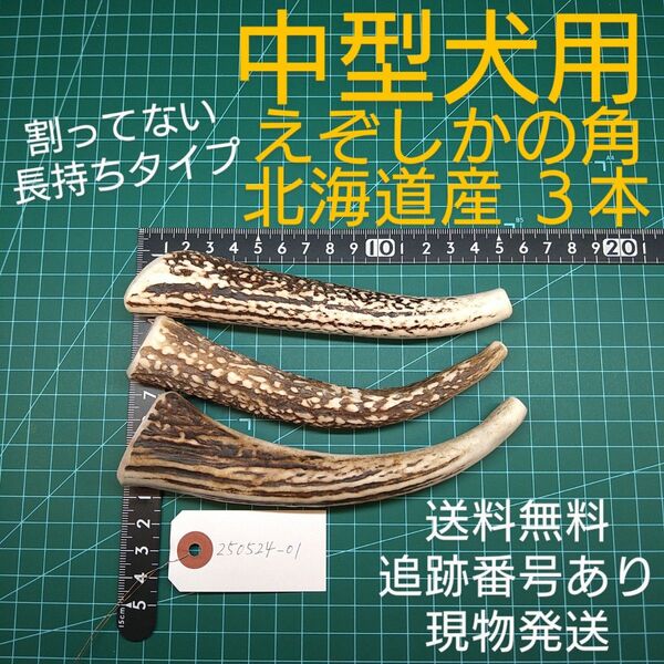 えぞ鹿の角 3本 中型犬用 250524-01 愛犬のおもちゃ