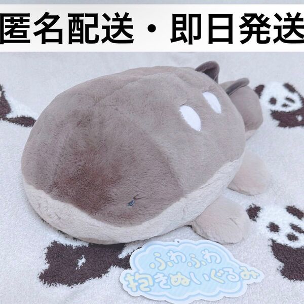 Pokemon ポケモン ドオー ふわふわ抱きぬいぐるみ ポケモンセンター ポケセン チリ SV