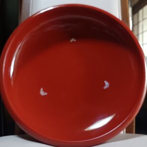 漆塗り 洗朱塗 津軽塗 盛目塗 本貝入り 美食浪漫 葵シリーズ 最終値下げ