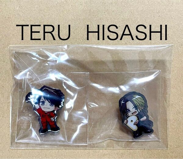 新品未開封★GLAY EXPO缶 2025封入★TERU HISASHI ピンバッジ2種セット