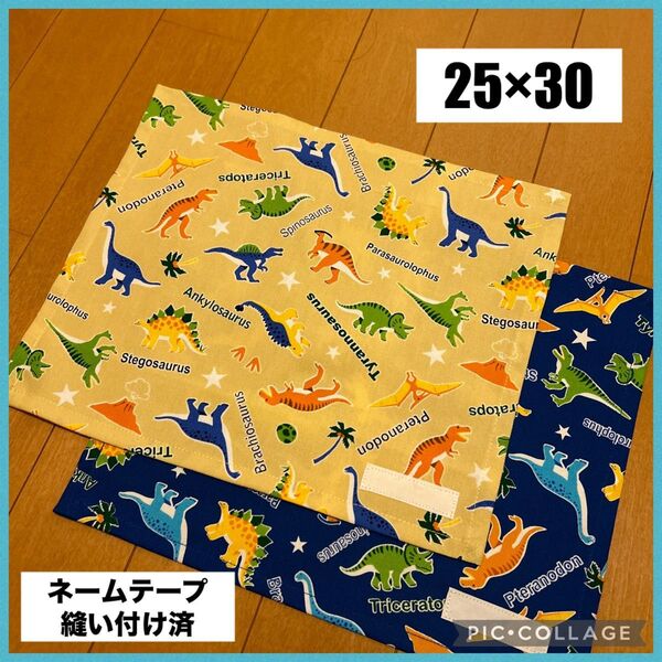 ランチョンマット 25×30 保育園 幼稚園 恐竜