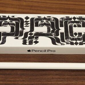 Apple Pencil Pro ほぼ未使用