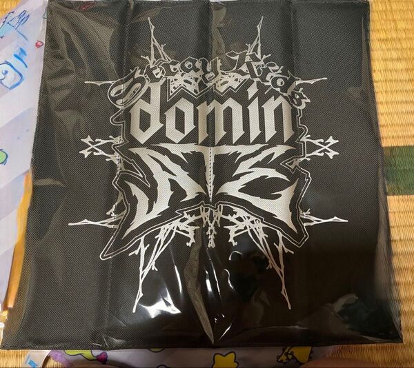 stray kids domin ATZ アプグレ特典 ポータブルクッション 5/18参戦分