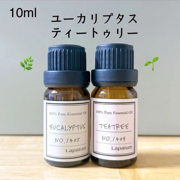 【100%天然精油】ティートゥリー ユーカリ アロマオイル 精油 エッセンシャルオイル アロマ 花粉症 ●追加毎に同梱割引あり