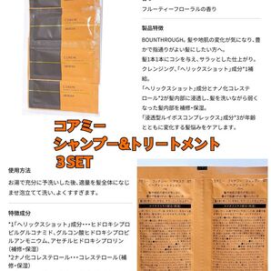 【匿名配送】 コアミー フィナジー シャンプー トリートメント BT 3回分 美容室専売品