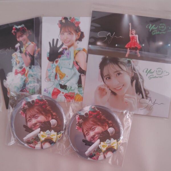 FRUITS ZIPPER 櫻井優衣 生誕2024 缶バッジ ミニフォトカード