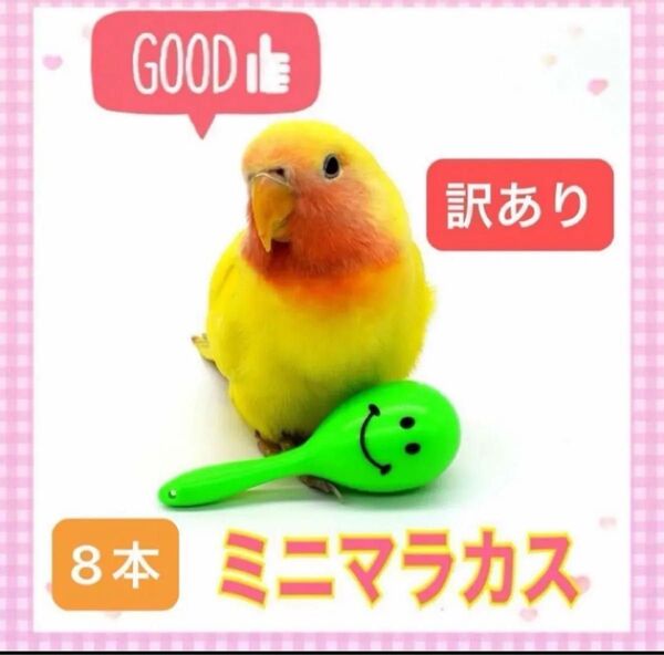 訳あり 小鳥 小動物 おもちゃ 小さい マラカス 8個セット インコ 文鳥 オウム バードトイ ハムスター リス カメ 鳥