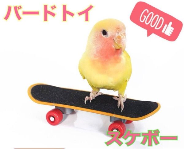 小鳥 小動物 おもちゃ スケボー 1個 スケートボード インコ 文鳥 オウム バードトイ ハムスター リス カメ 指スケ 鳥