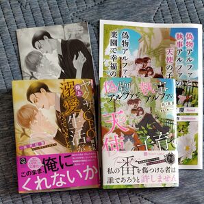 ヤクザCEOに囲われたら、極上溺愛生活が待っていました!? /偽物アルファと執事アルファの天使の子育て