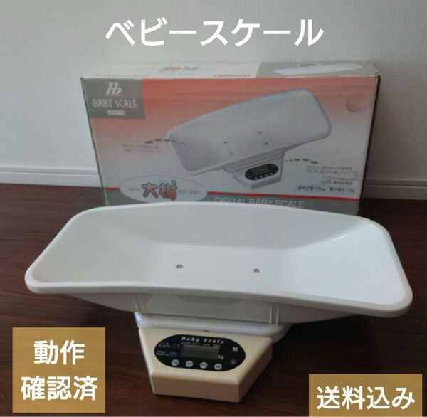 大樹 ベビースケール