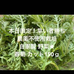 農薬不使用栽培 自家栽培 無農薬野菜 春菊 本日限定★ 150g入り 野菜詰め合わせ