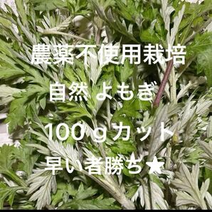 無農薬野菜 自家栽培 自然 よもぎ ヨモギ 野菜詰め合わせ 100gカット