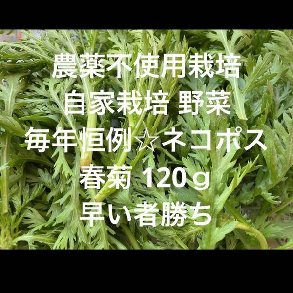 農薬不使用栽培 自家栽培 野菜詰め合わせ 無農薬野菜 春菊 菊菜 カット
