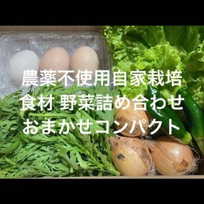 農薬不使用栽培 自家栽培 野菜詰め合わせ コンパクト 無農薬野菜セット