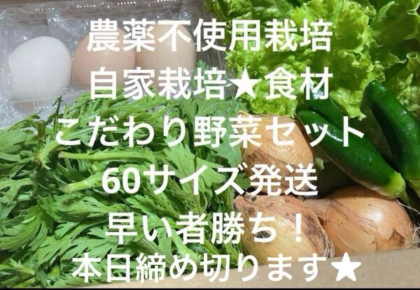 農薬不使用 自家栽培 こだわり野菜詰め合わせ 60サイズ 発送 野菜セット 無農薬野菜 食材★
