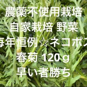 農薬不使用栽培 自家栽培 無農薬野菜詰め合わせ 春菊 カット まもなく終了★