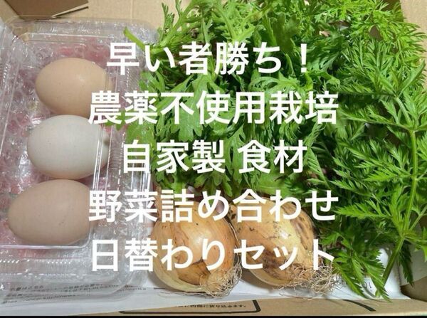 農薬不使用栽培 自家栽培 野菜詰め合わせ 無農薬 野菜セット