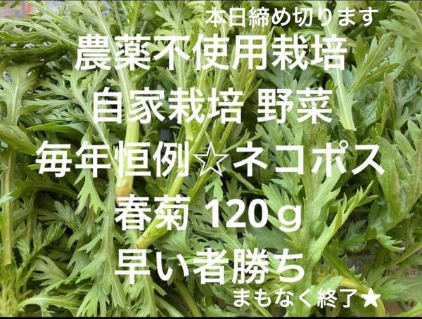 農薬不使用栽培 自家栽培 野菜詰め合わせ 無農薬野菜 春菊 菊菜 カット