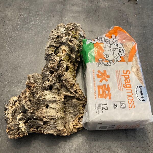 コルク樹皮と乾燥水苔のセット ビカクシダなどに