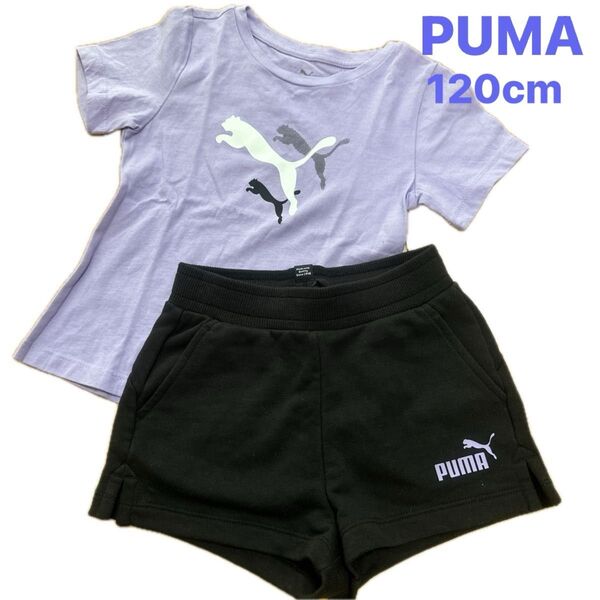 未使用 PUMA プーマ キッズ ジュニア 女の子 セットアップ 上下セット Tシャツ ハーフパンツ ジャージ 120cm