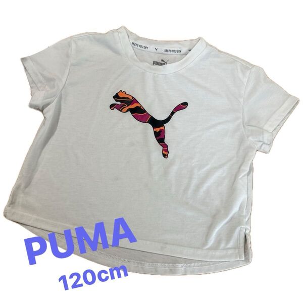 PUMA プーマ キッズ ジュニア 女の子 Tシャツ 半袖 カットソー トップス 120cm ホワイト 白