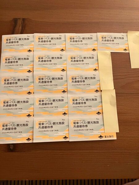 富士急行 電車・バス・観光施設共通優待券 16枚