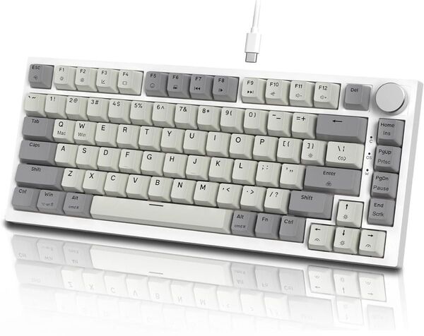 MAMBASNAKE×ATTACK SHARK K85 ラピッドトリガー 搭載 有線 75% RGBPBT カラー