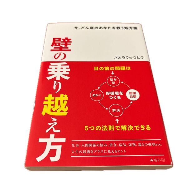 壁の乗り越え方 : 今、どん底のあなたを救う処方箋