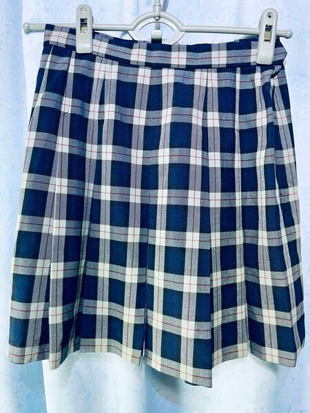 東京都 私立 順天学園 中学校 高等学校夏服 スクールスカート W66 L42 ミニ丈 かわいい青白チェック コスプレ 制服 高校