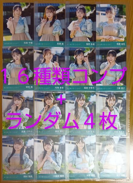 STU48 11th 地平線を見ているか? 劇場盤 生写真 20枚(16種類 コンプ+ランダム4枚)★中村舞 高雄さやか 石田千穂